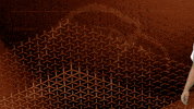 Hellothere GIF by Carson-Newman Athletics