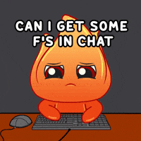 GIF by Playember