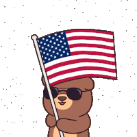 United States Celebration Sticker by BEARISH