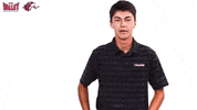 Southern Illinois Mvc GIF by Missouri Valley Conference