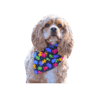 Cocker Spaniel Autism Sticker by Geekster Pets