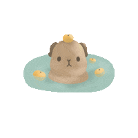 Guinea Pig Orange Sticker