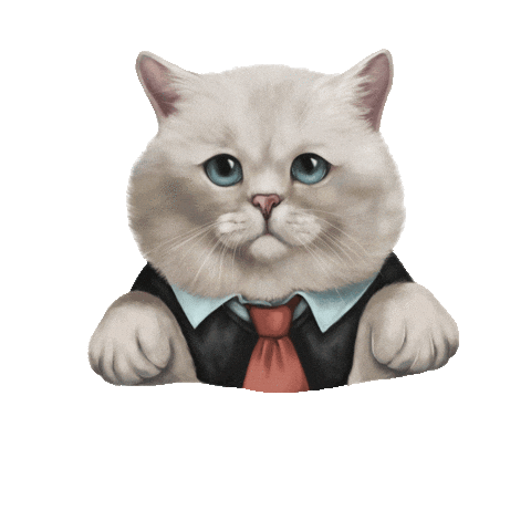 Cat Britishcat Sticker by British cats cattery and Apollo cat.