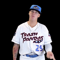 Rocket City Trashpandas GIF by Rocket City Trash Pandas