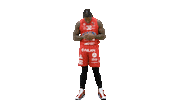 Basketball Hoops Sticker by Basket_fi