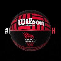 Wilson GIF by Basketball England