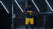 Go Blue Ncaa Football GIF by Michigan Athletics