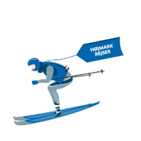 Hojmarkrejser ski Sticker