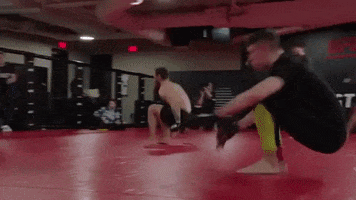 GIF by UFC