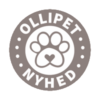 Khaki Nyhed Sticker by CotonshoppenGIFS