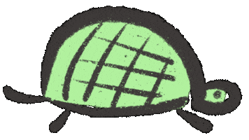 Turtle Tortoise Sticker