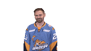 Dab Sticker by Toledo Walleye