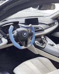 Steering Wheel Yoke GIF