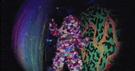 meowwolf beast meow wolf meowwolf meow wolf santa fe GIF