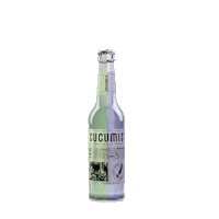 Cheers Kombucha Sticker by TheSuperDrinks