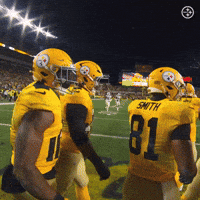 Football Nfl GIF by Pittsburgh Steelers