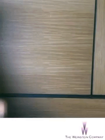 GIF by The Weinstein Company