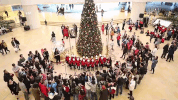 merry christmas GIF