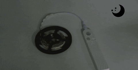 giphyupload GIF
