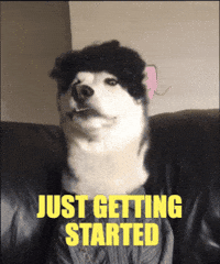 swagrman husky crypto meme dog meme just getting started GIF