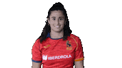 FERugby rugby fer pgr bimba Sticker