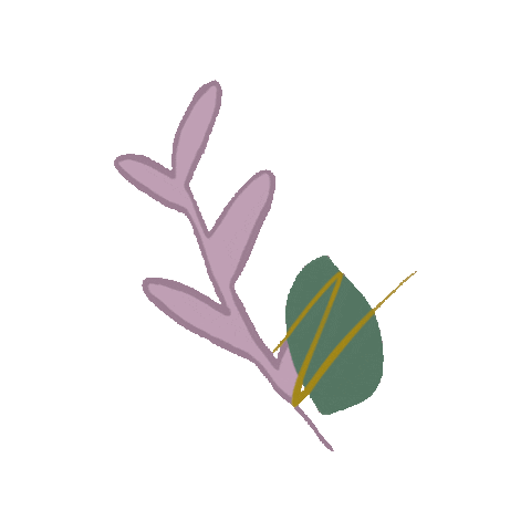 Flower Bloom Sticker by Anticlockwise