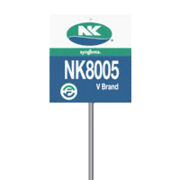 nkseeds_us corn harvest nk yield Sticker