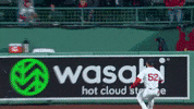 Red Sox Wow GIF by MLB