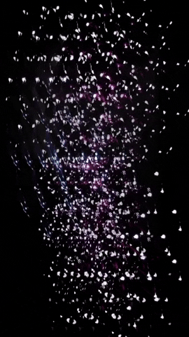 Floating Cherry Blossom GIF by Mollie_serena
