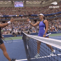 Us Open Tennis Sport GIF by US Open