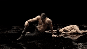 GIF by hero0fwar