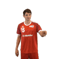 swisshandball_official handball move schweiz swiss Sticker