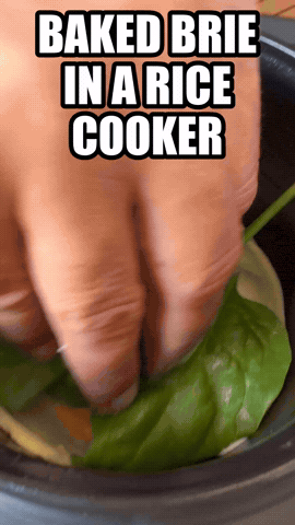 Baked Brie In A Rice Cooker | Rice Robot