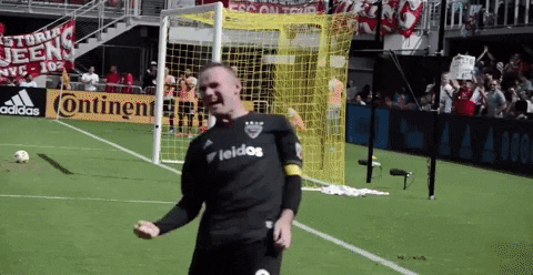 celebrate let's go GIF by D.C. United