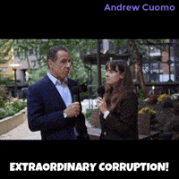 New York Vote GIF by Andrew Cuomo