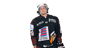 La Roche Sur Yon Simon Sticker by Hockey Glace Yonnais