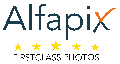 Alfapix Sticker by Videocontent-fabrik