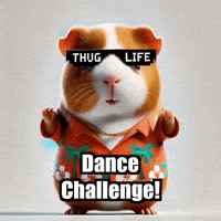 Guinea Pig Dance GIF by Guinea Gambino