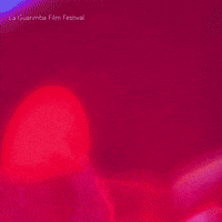 I Hate You Fighting GIF by La Guarimba Film Festival