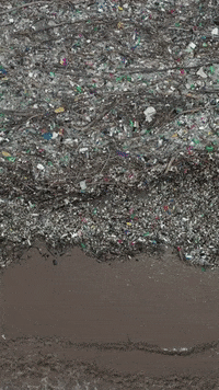 Earth Day GIF by 4ocean