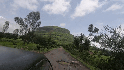 Thelocalguide giphyupload GIF