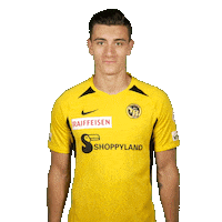 Super League Yes Sticker by BSC Young Boys