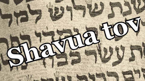 vivygoldberg shavua tov GIF