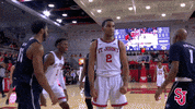 St Johns Sjubb GIF by St. John's Red Storm