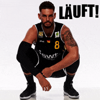 tigers_tuebingen like top super wolf GIF