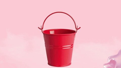 giphyupload GIF