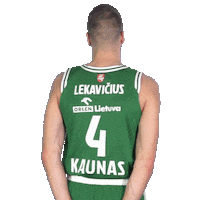 Lukas Lekavicius Krepsinis Sticker by Lietuvos krepšinio lyga