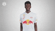 Football Come Here GIF by FC Red Bull Salzburg