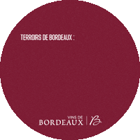 Cheers Wine Sticker by Vins de Bordeaux
