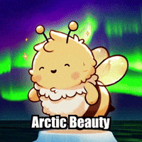 Bee Aurora Borealis GIF by Beelightened